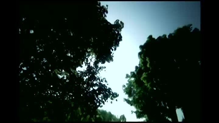 12 Jaw-Dropping True Crime Cases That Will Keep You Up All Night