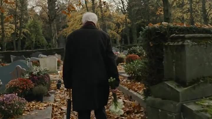 Mr Morgan's Last Love (2013)