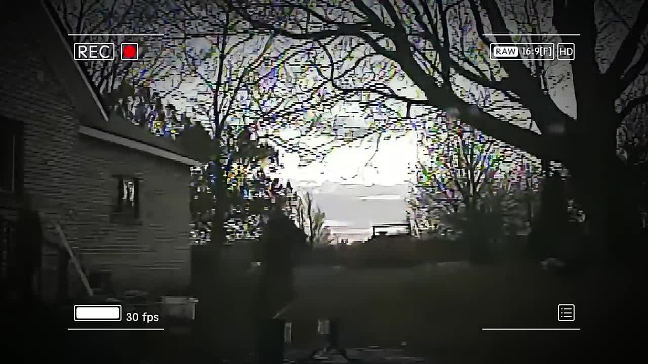 ⁣Cops Discover the Real Silence of the Lambs