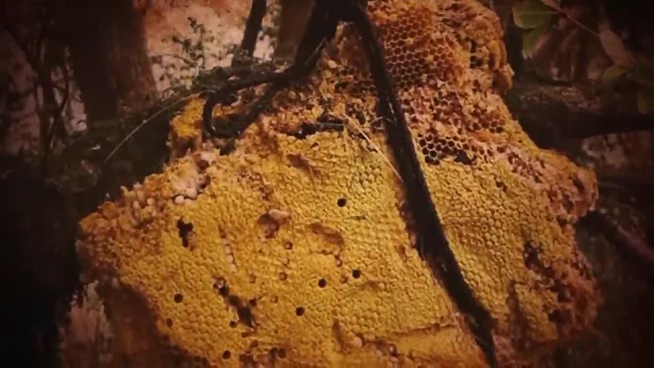 ⁣Creepy Foods People Ate Throughout History