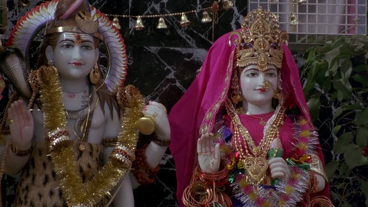 Splitting Heirs 1993 1080p BluRay x264 AAC-