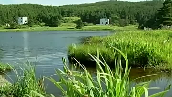 ⁣Can Modern Families Thrive in a 1937 Fishing Village?