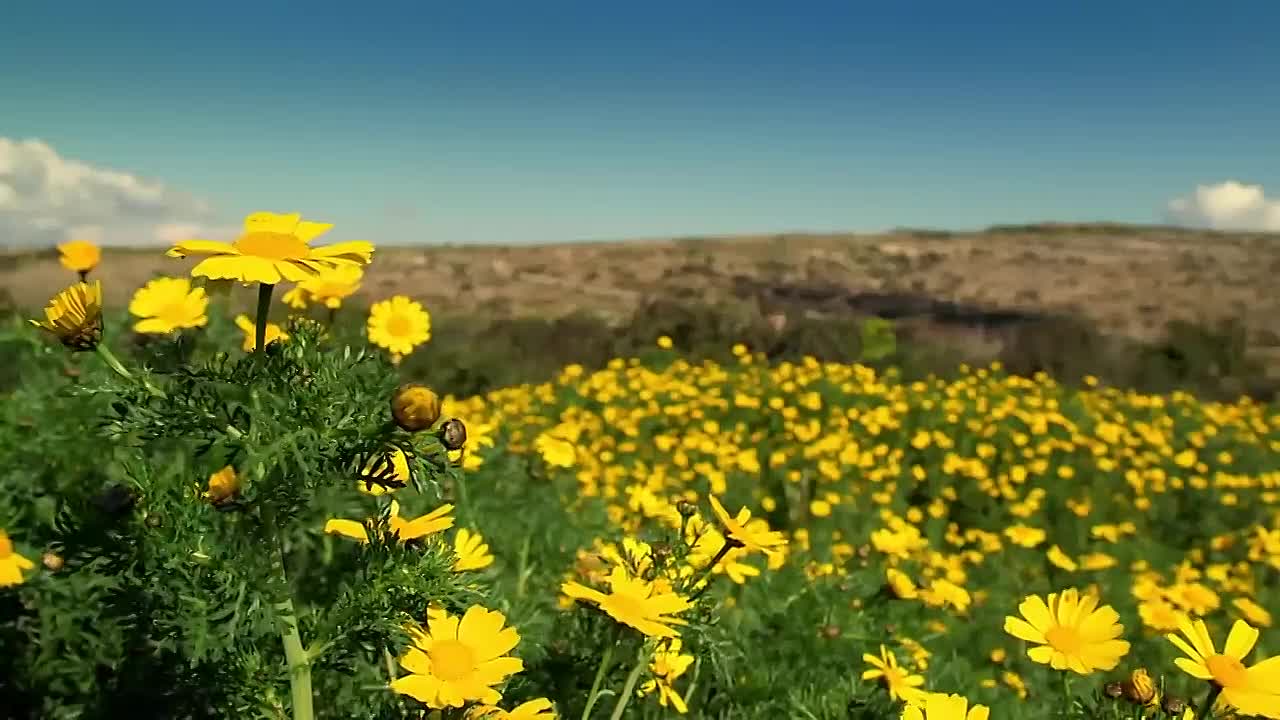 Prison Brides Marrying Dangerous Men