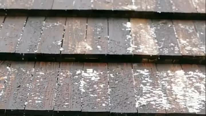 Fear Thy Neighbor -Daddy's Got A Gun