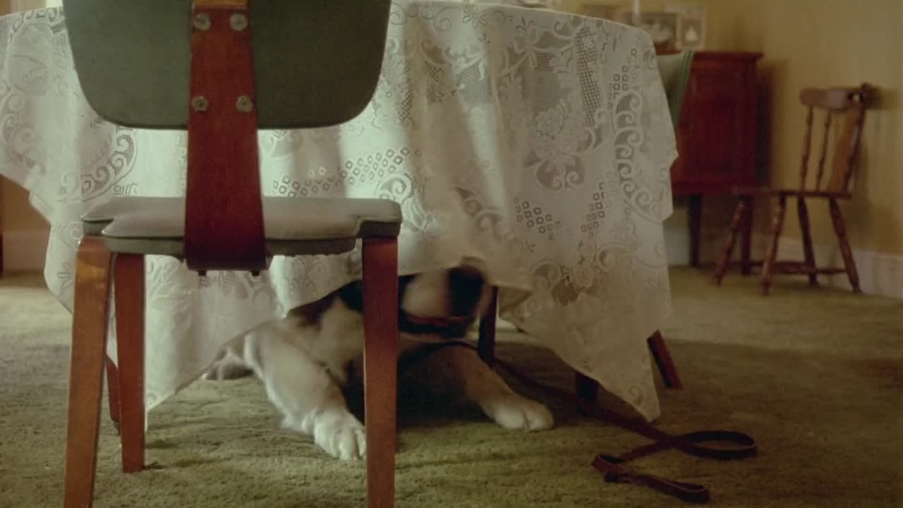 ⁣Five Corners 1987 1080p BluRay x264-[YTS AG]