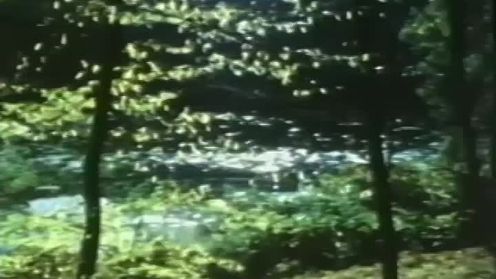 Once Upon a Time -The Brothers Grimm