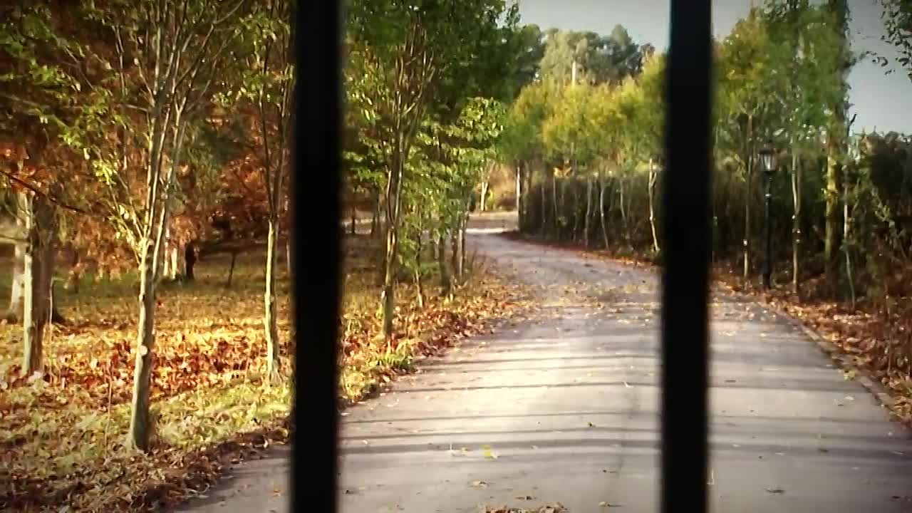 Ed Daou's Dark Secrets -Behind Mansion Walls