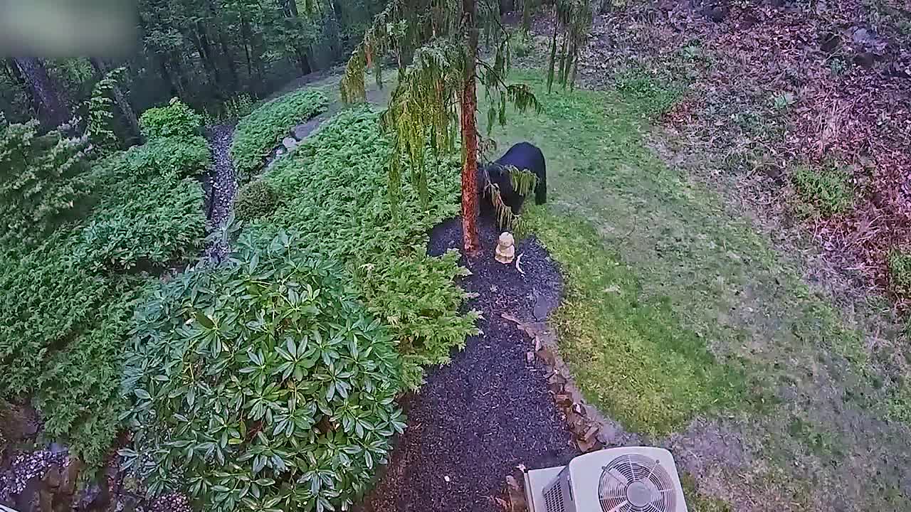 ⁣90 Incredible Moments Caught on CCTV