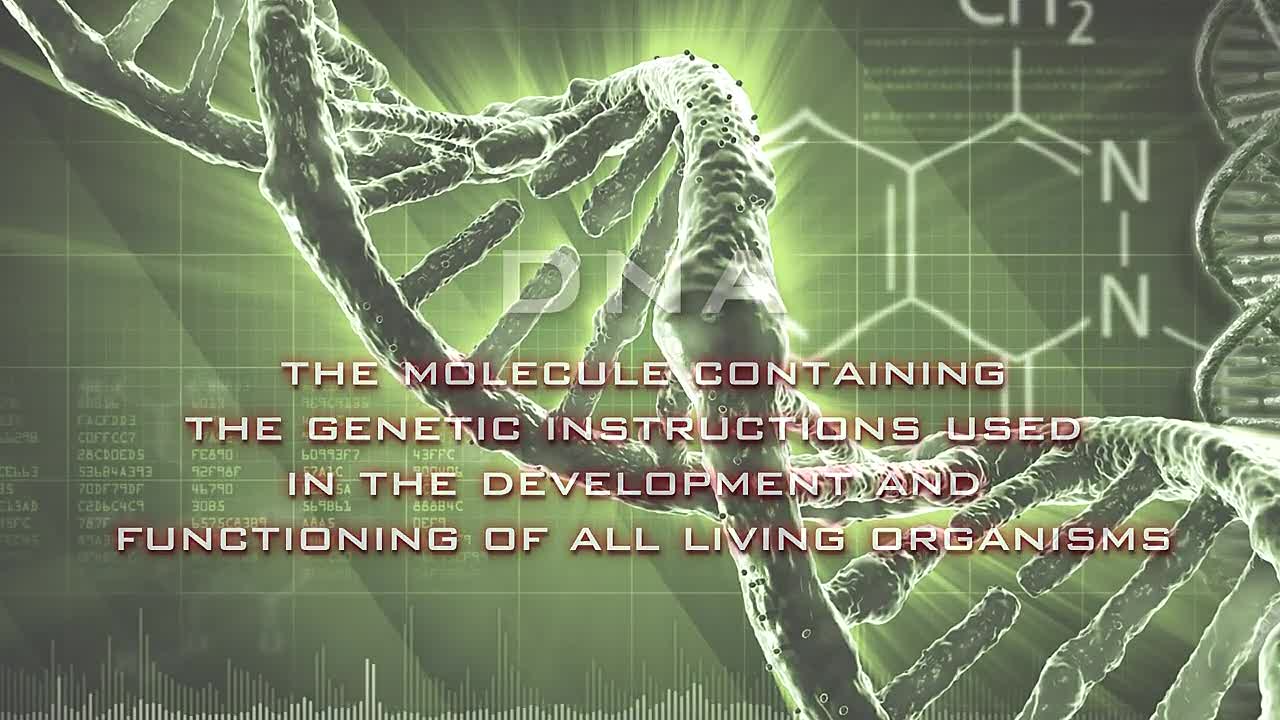 Programming of Life (2011)