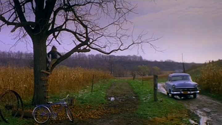 Lady In White (1988)