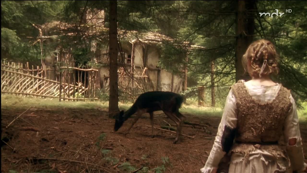 Bruederchen und Schwesterchen 2008 GERMAN HC ENG SUBS 720p HDTV x264-TMSF