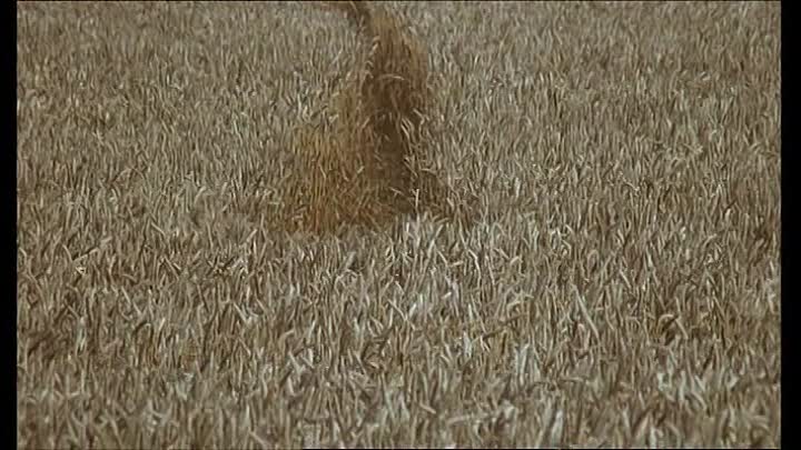 La 7eme Compagnie Au Clair De Lune French Dvdrip XviD