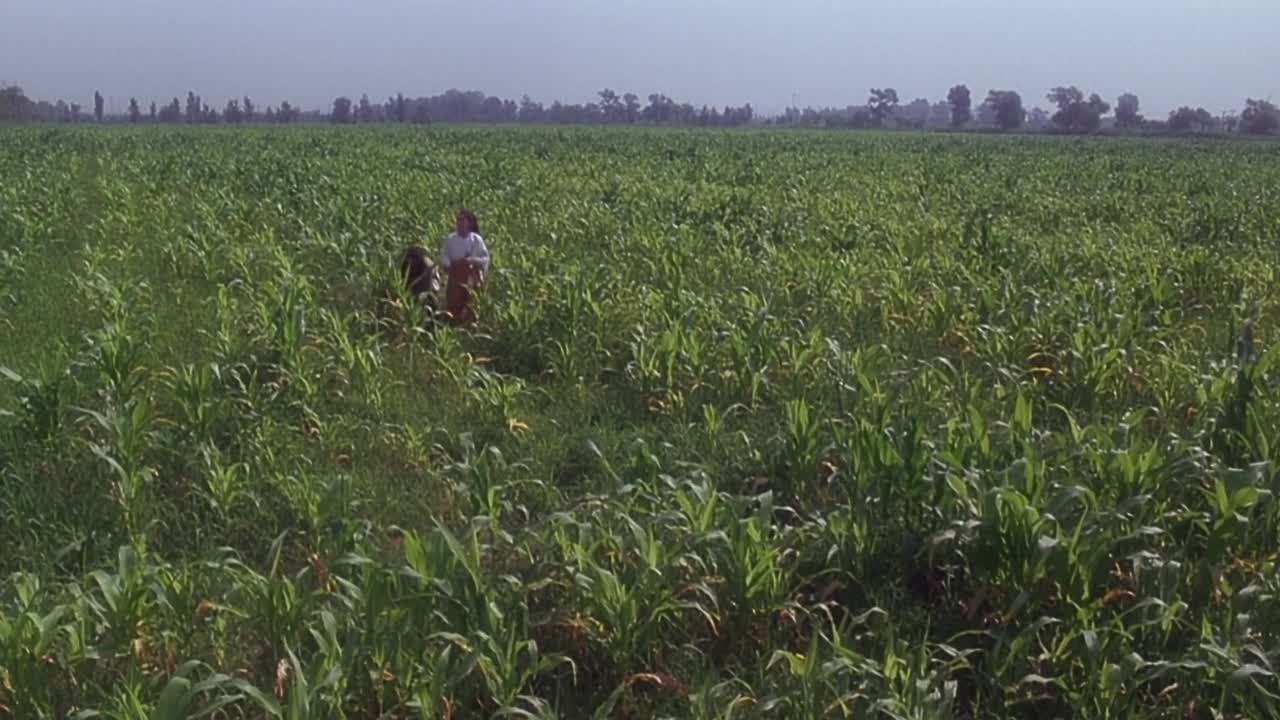 ⁣Tai-Chi Master 1993 CHINESE HC ENG SUBS 1080p BluRay x264 AAC5 1-