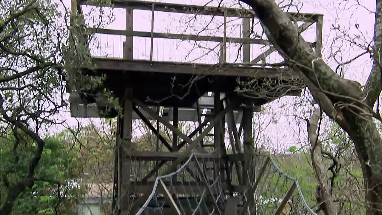 Discover Eco Marvels