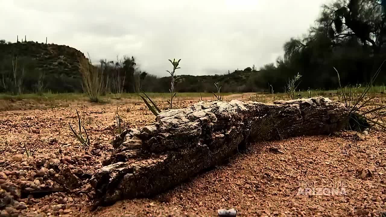 The Chilling Tale of Arizona’s Spy Shop Serial Killer