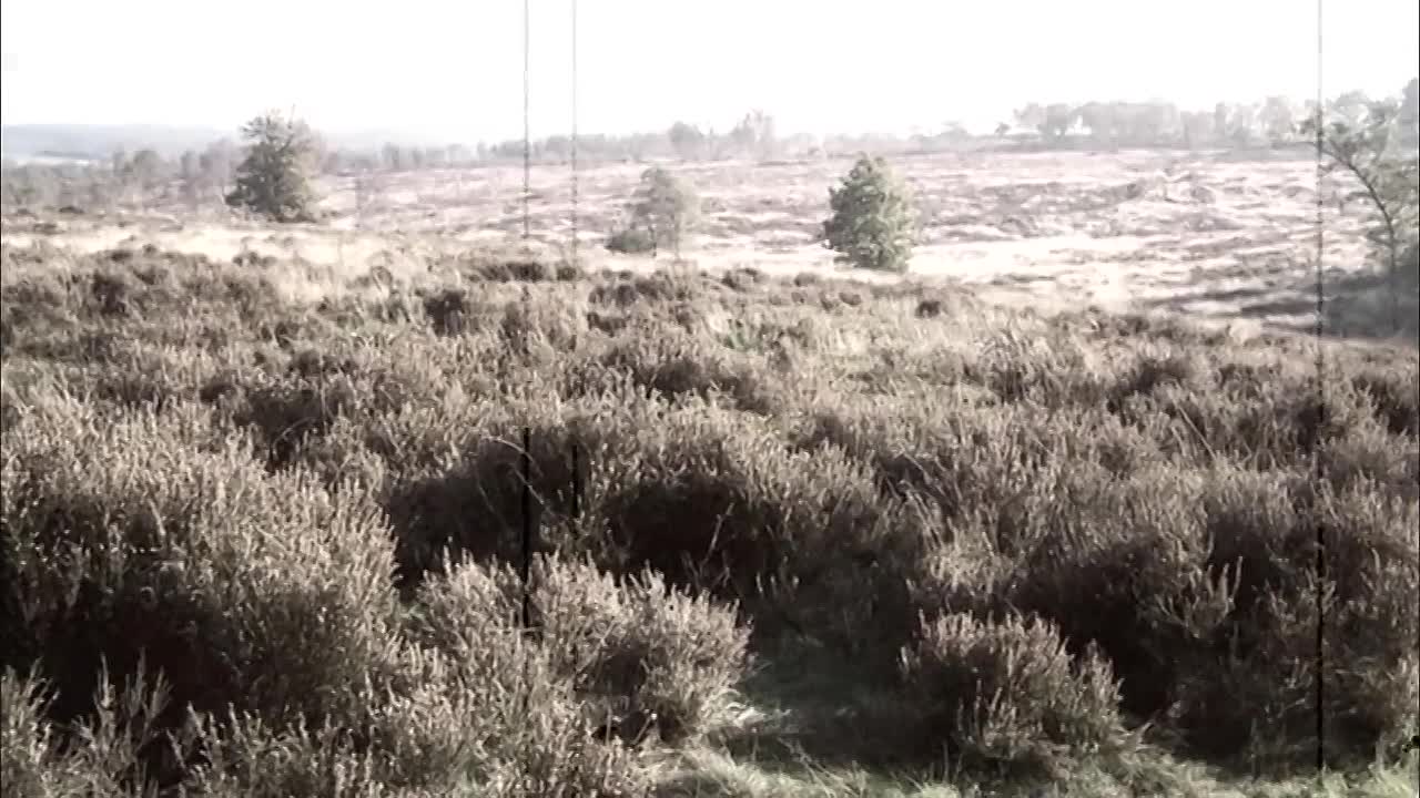 Lost Innocence -The Cannock Chase Murders of the 1960s