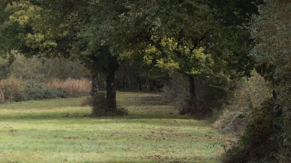 Comme un Prince 2024 FRENCH 720p WEB-DL H264-Slay3R