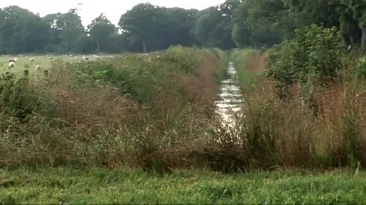 Act Of Kindness Almost Costs This Woman Her Life