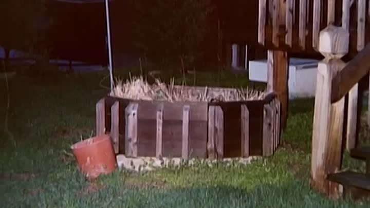 The Cheater -Forensic Files