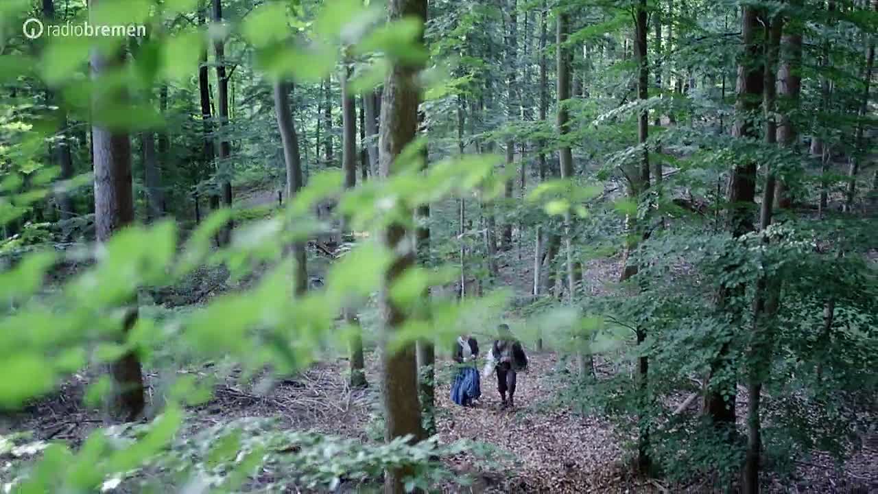 Der Geist im Glas 2021 GERMAN 720p WEBRip x264