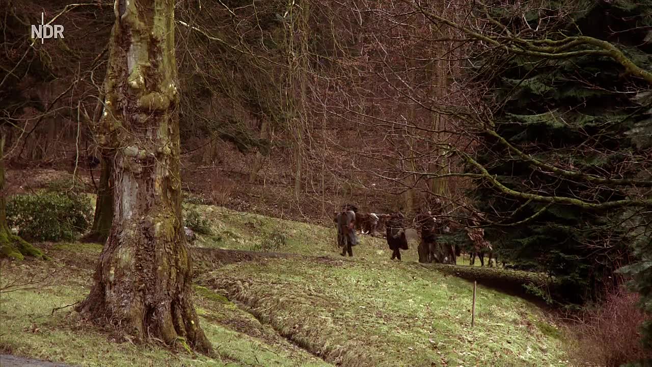 Allerleirauh 2021 GERMAN 720p WEBRip x264