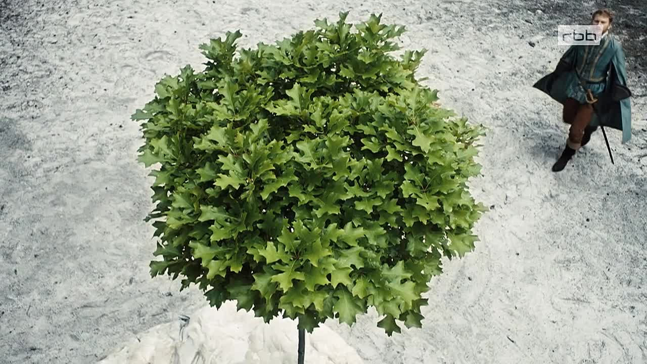 Das singende klingende Bäumchen 2021 GERMAN 720p WEBRip x264