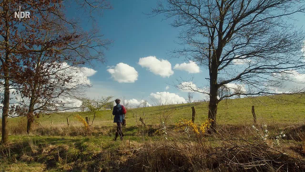 Hans im Glück 2021 GERMAN 720p WEBRip x264