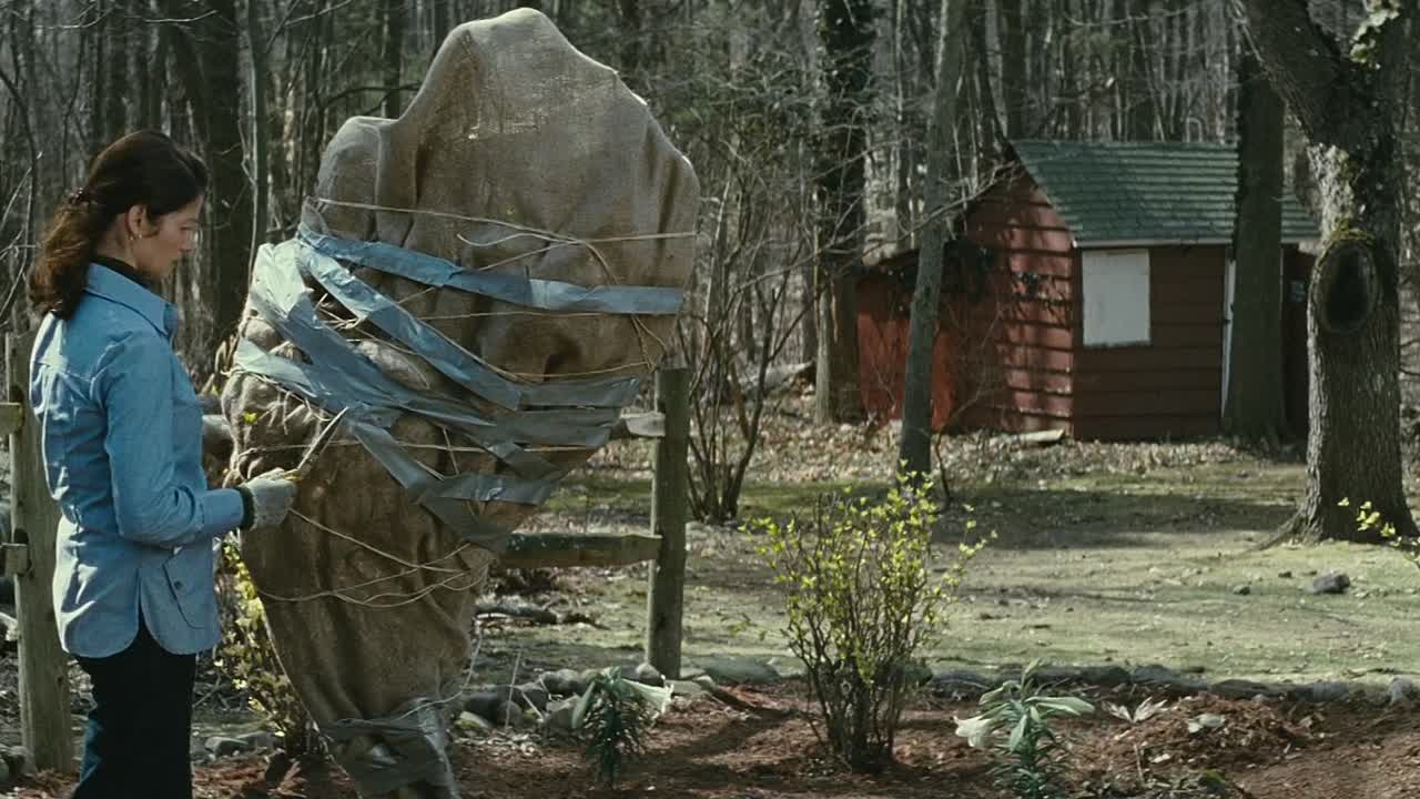 Lymelife 2008 1080p BluRay x264 AAC5 1-