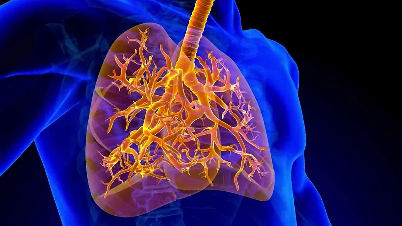 John Steinbeck -Flawed Genius