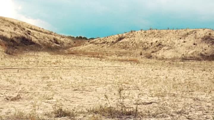 Easy Does It 2020 HDRip XviD AC3-EVO