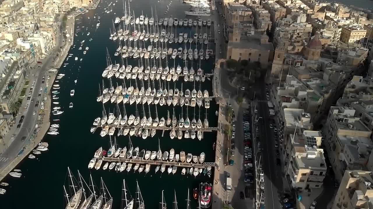 The Power of Silence in Nature’s Revival