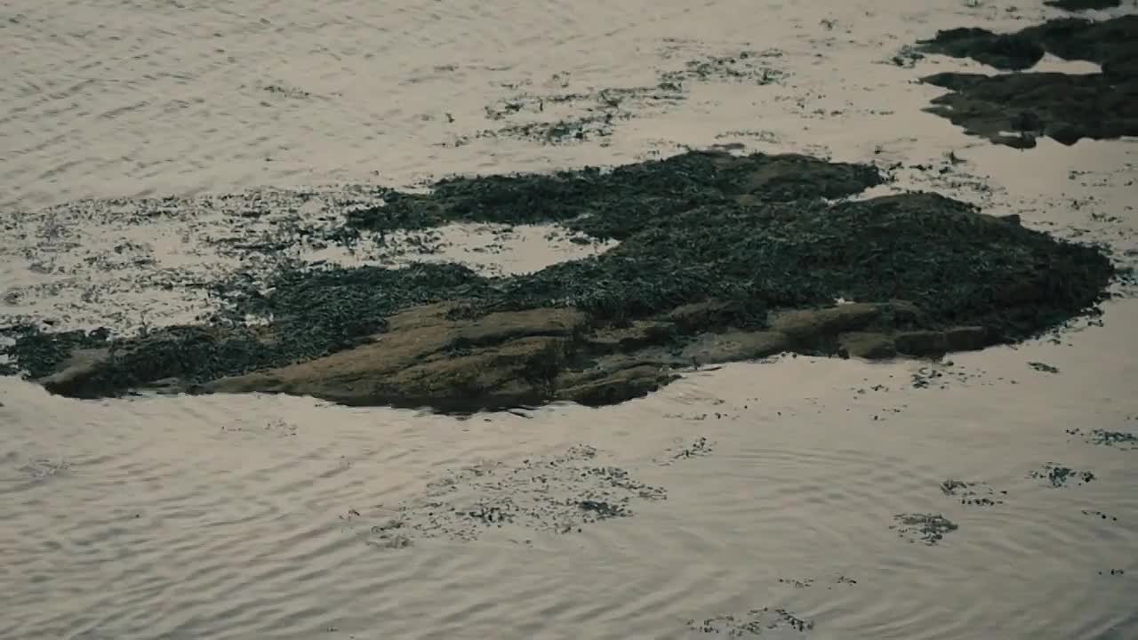 Britain's_Most_Evil_Killers_S09E02