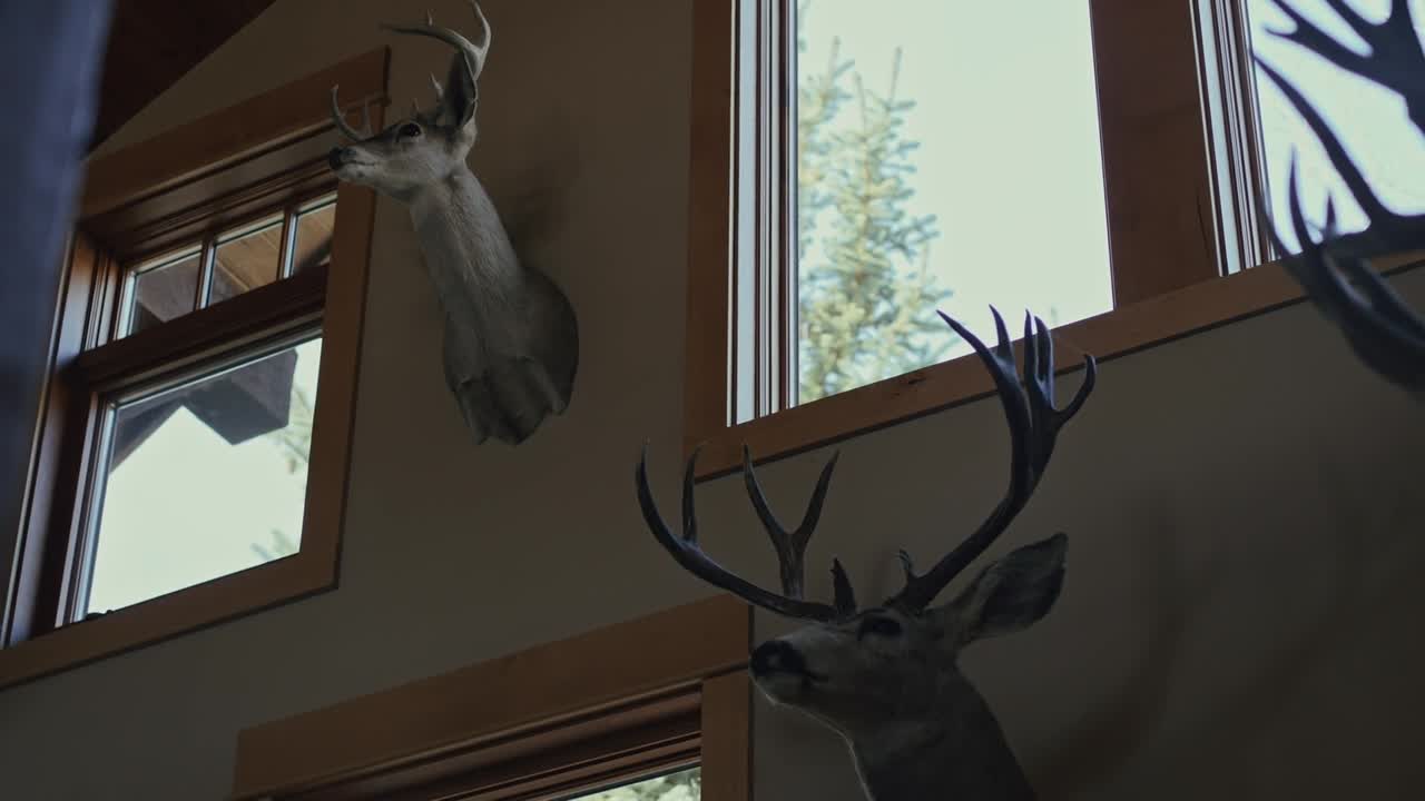 Trapped In The Rocky Mountains 2024 1080p WEBRip x264 AAC-