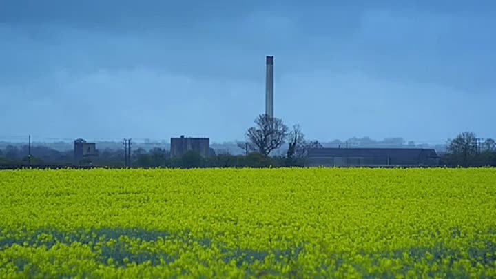 ⁣Born Of War 2013 HDRip XviD AC3-EVO