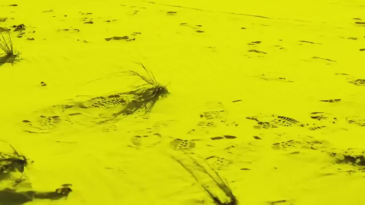 An Unexpected Killer Mini-marathon