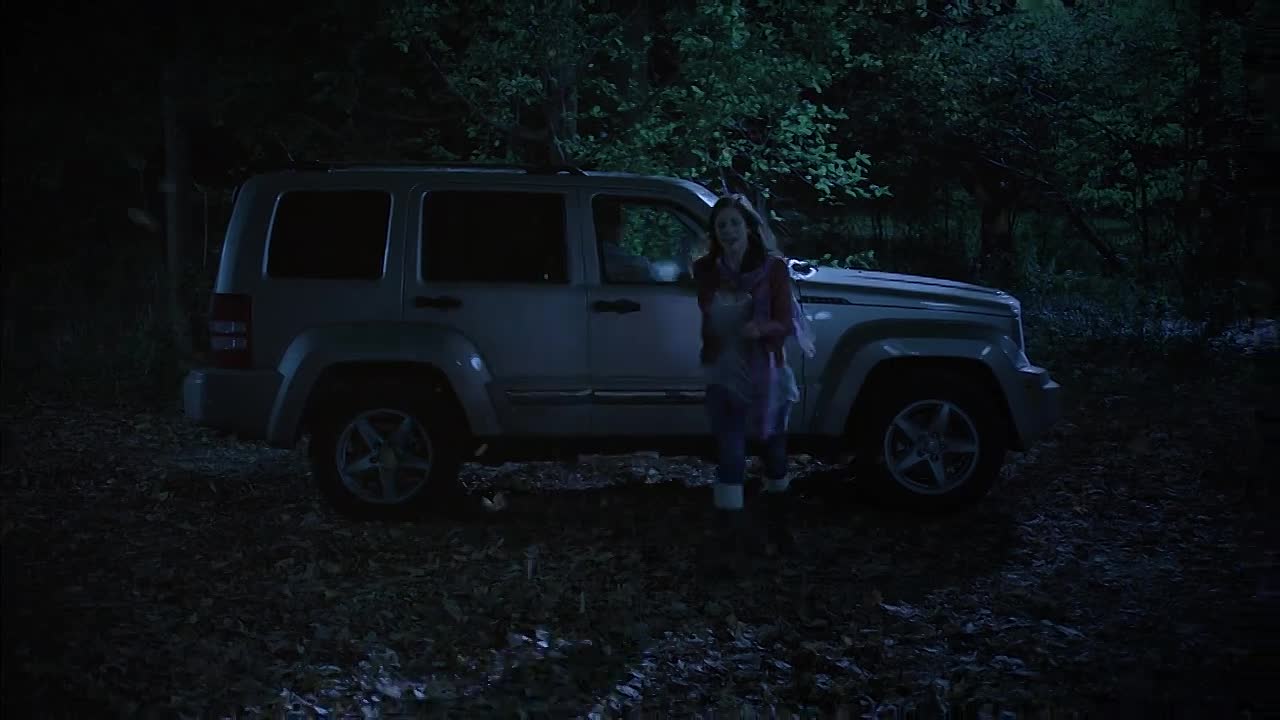 Silent Witness (2011)