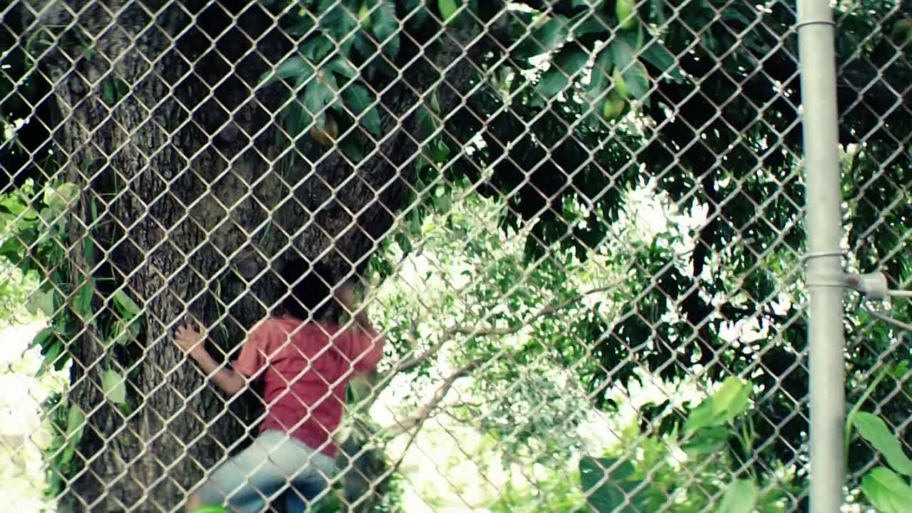 Hands Of Stone 2016 MULTI HC ENG SUBS 1080p BluRay x264-[YTS AG]