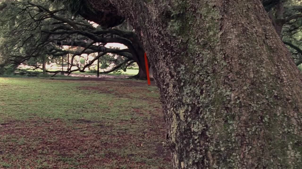 Miracle Run 2004 1080p WEBRip x264 AAC-