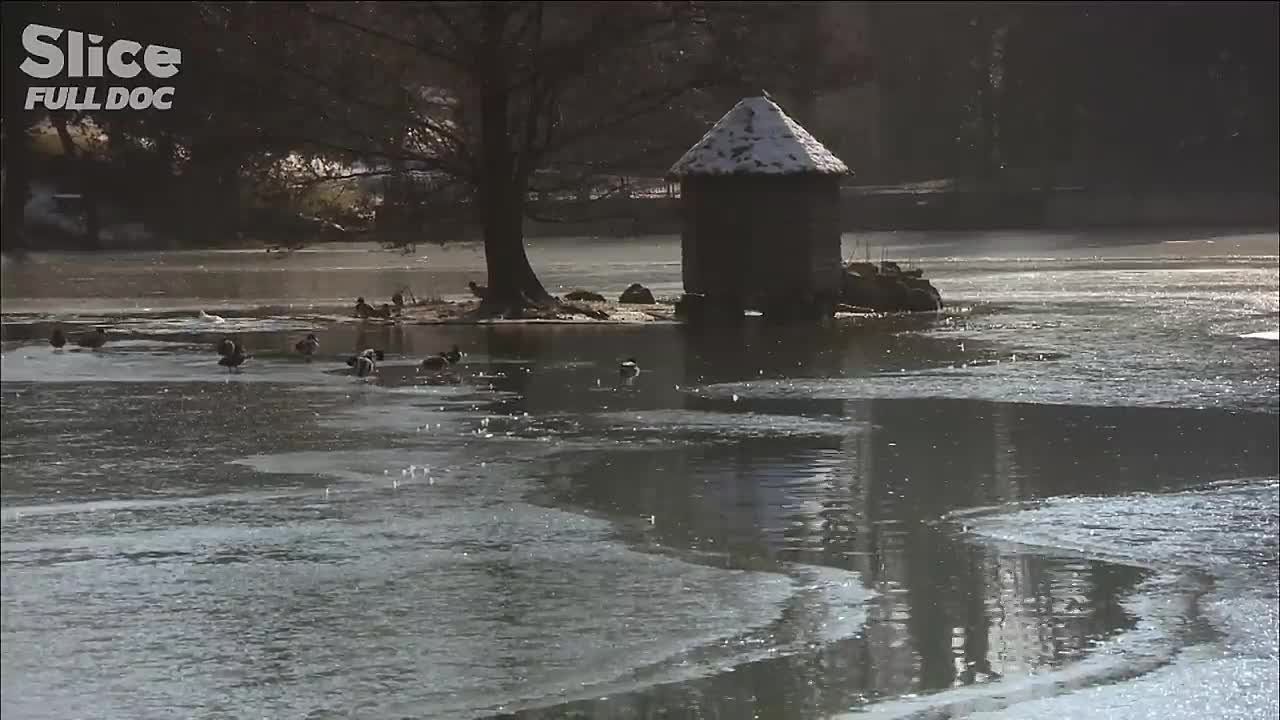 ⁣Lebensborn -The Secret Aryan Breeding Program of the Third Reich