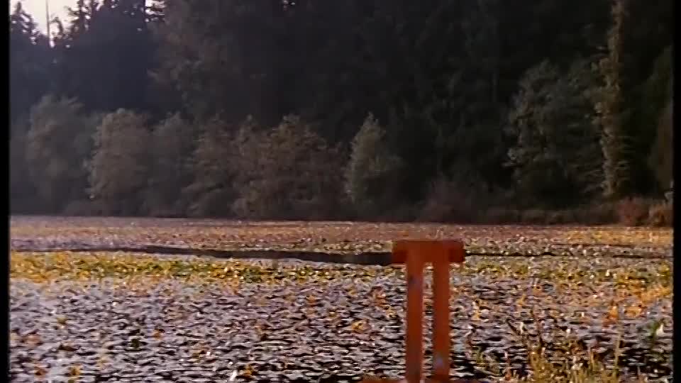 This Can't Be Love (1994)