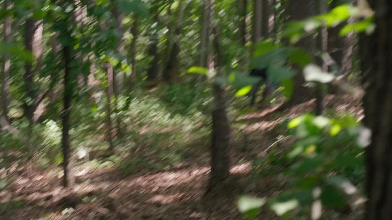 ⁣Buried Alive And Survived 2024 1080p WEBRip x264 AAC-