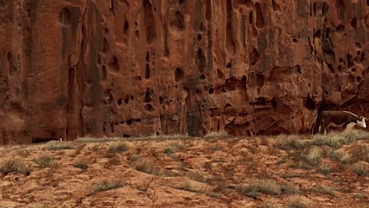 Valley of the Gods 2020 BDRip XviD AC3-EVO