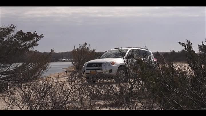 Devil Within 2019 HDRip XviD AC3-EVO