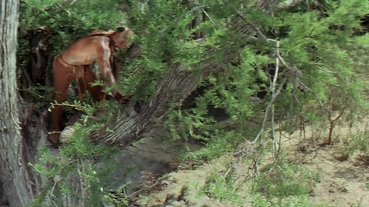 Kings of the Sun 1963 1080p BluRay x264 YIFY