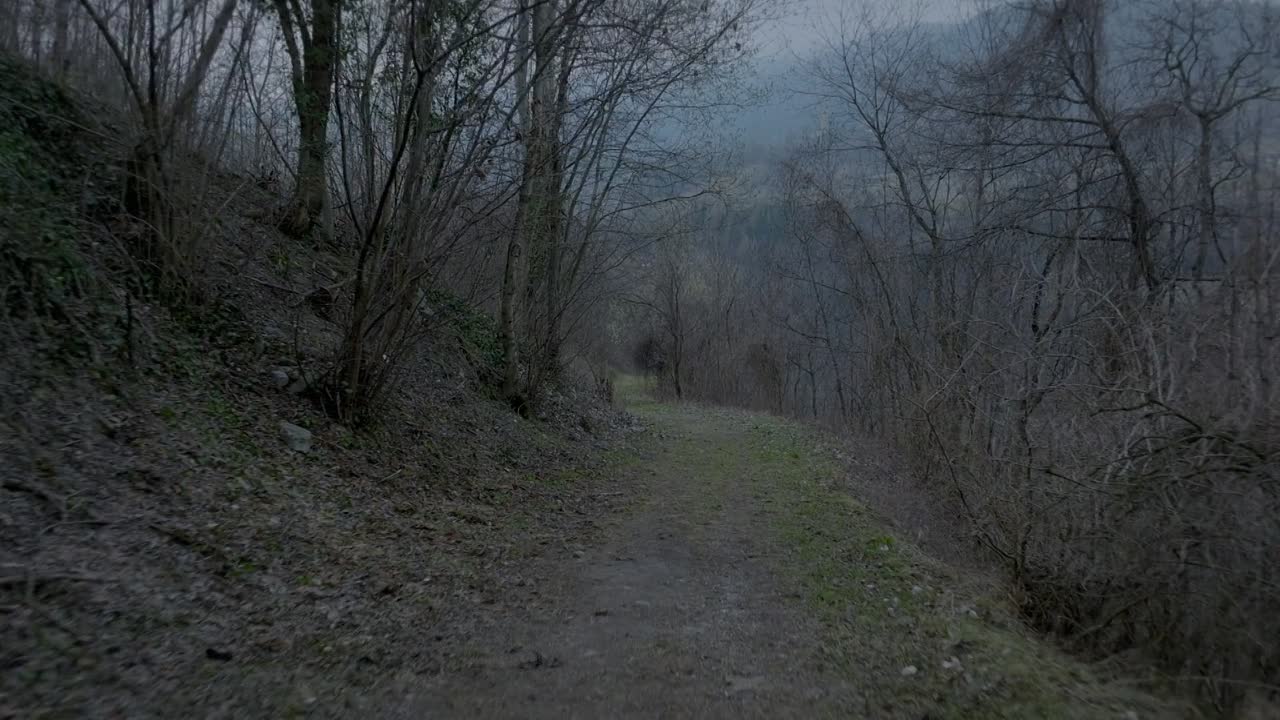 Snow Whites Christmas Adventure 2023 1080p WEBRip x264 AAC5 1-