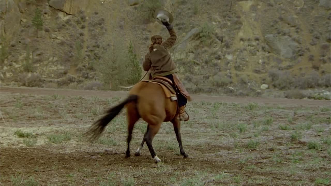 ⁣Even Cowgirls Get The Blues 1993 1080p WEBRip x264 AAC-