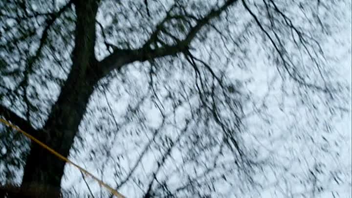 Case Sensitive S01 -Point Of Rescue