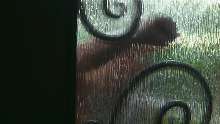 ⁣Poor Greg Drowning 2020 HDRip XviD AC3-EVO