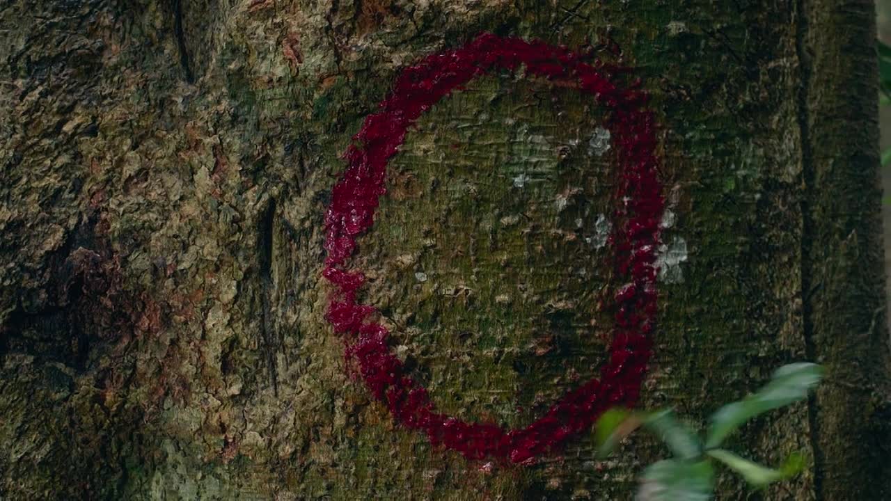 Dora And The Lost City Of Gold 2019 1080p BluRay x264-[YTS LT]