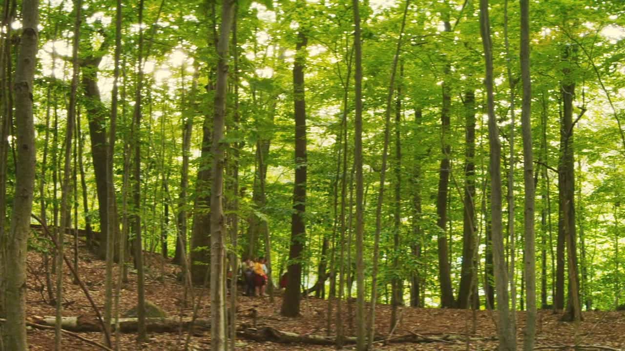 ⁣Nature Calls 2012 1080p BluRay x264 AAC5 1-